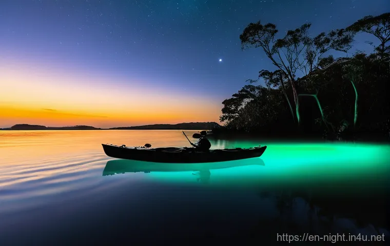 야경이 아름다운 자연 명소 - **Chasing the Cosmic Ribbon: Aurora Adventures**
    An awe-inspiring, wide-angle shot of a serene w...