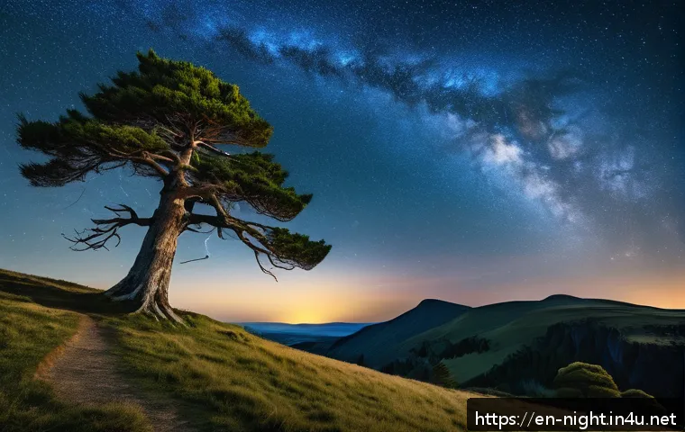 Unlocking the Magic Hour: Best Times to Capture Stunning Nightscapes 3 야경을 찍기 좋은 시간대 관련 이미지 1