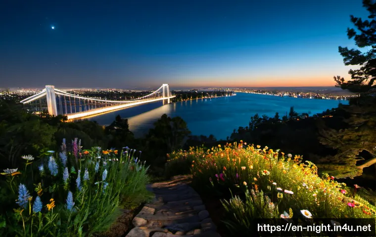 How Nature and City Lights Create Balanced Nightscape Views 3 야경 속 자연과 도시의 조화 관련 이미지 1